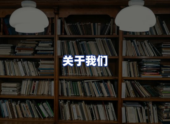 专业团队